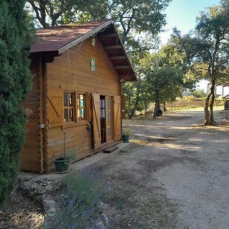La Cabane En Bois Tourves Esterno foto