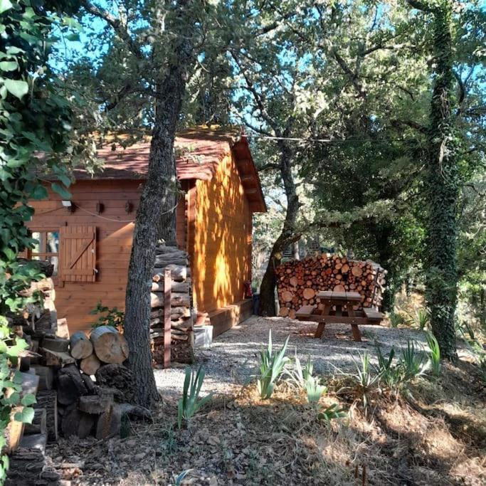 La Cabane En Bois Tourves Esterno foto
